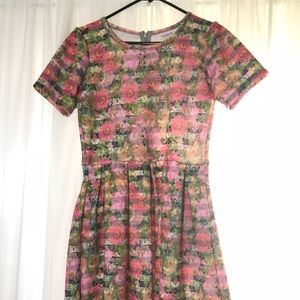 LuLaRoe Medium Amelia Dress